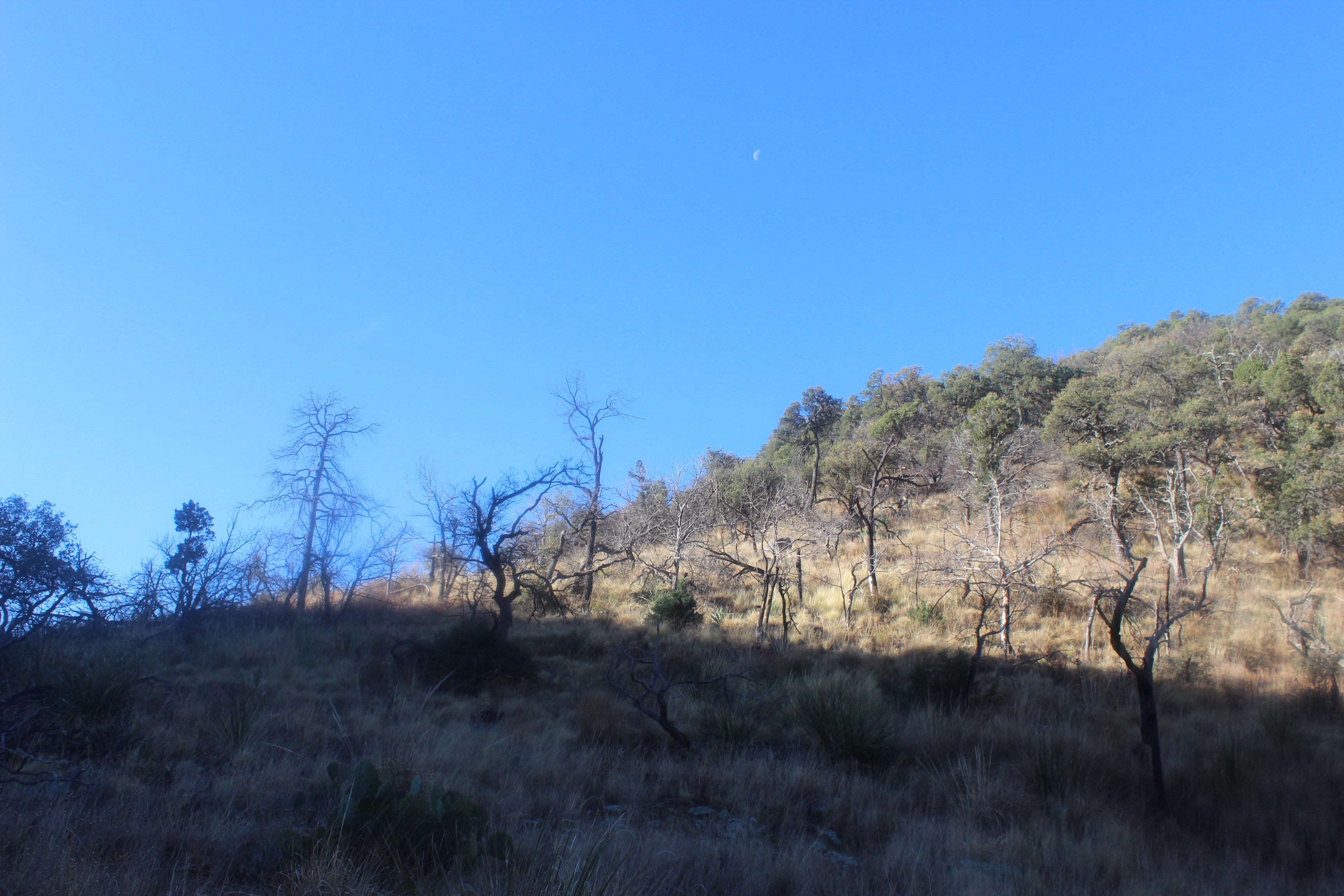 Boot Canyon Moon Pic. Artemis 2 was on their way home when this was taken!