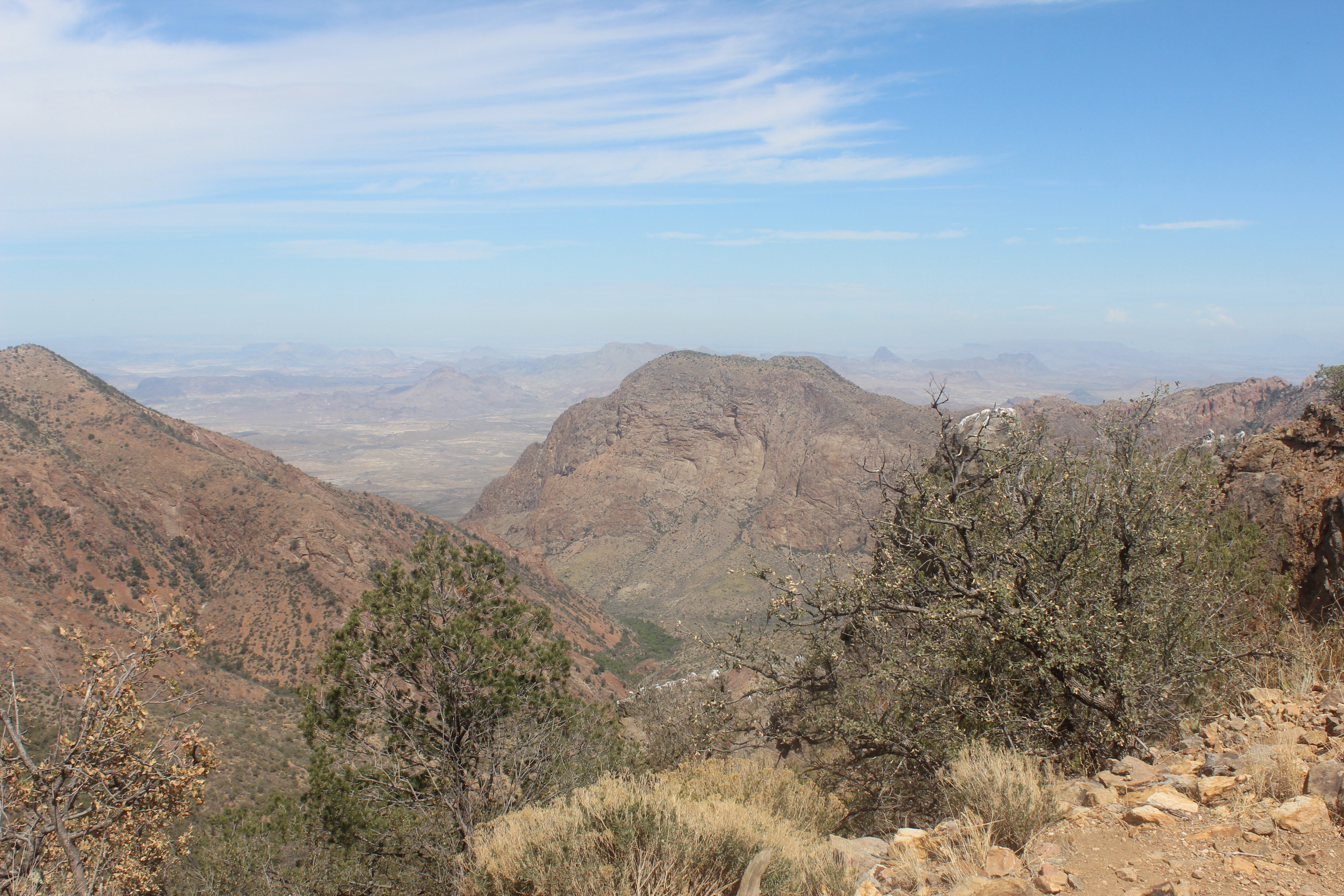 Emory Peak Turnoff View