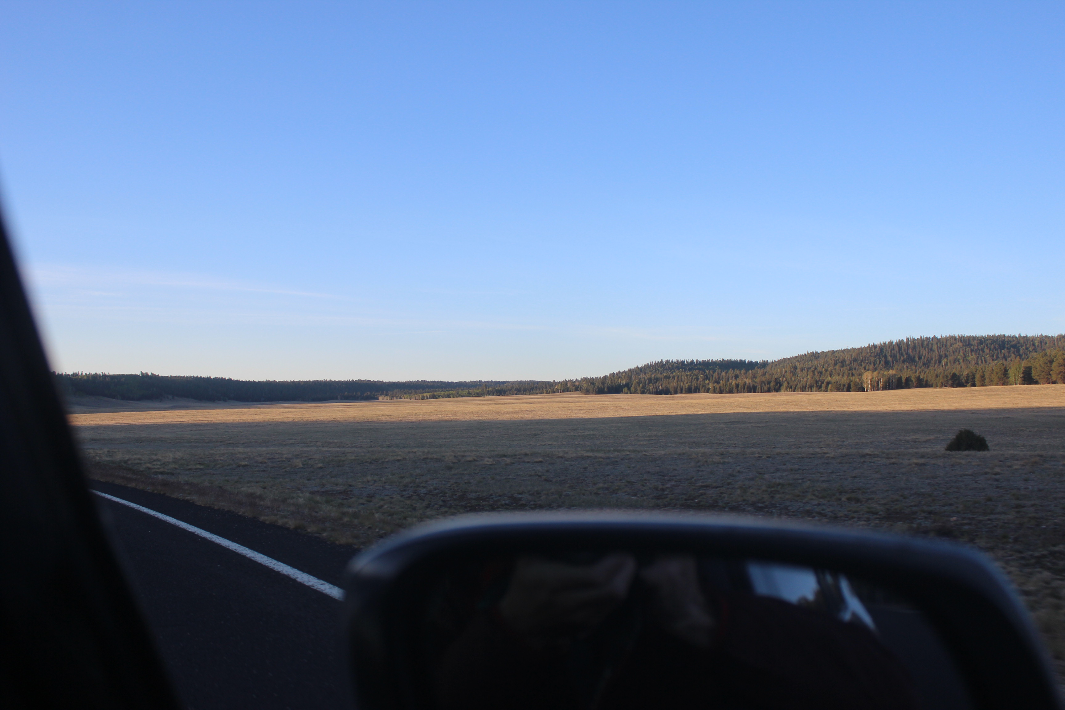 Kaibab Meadows