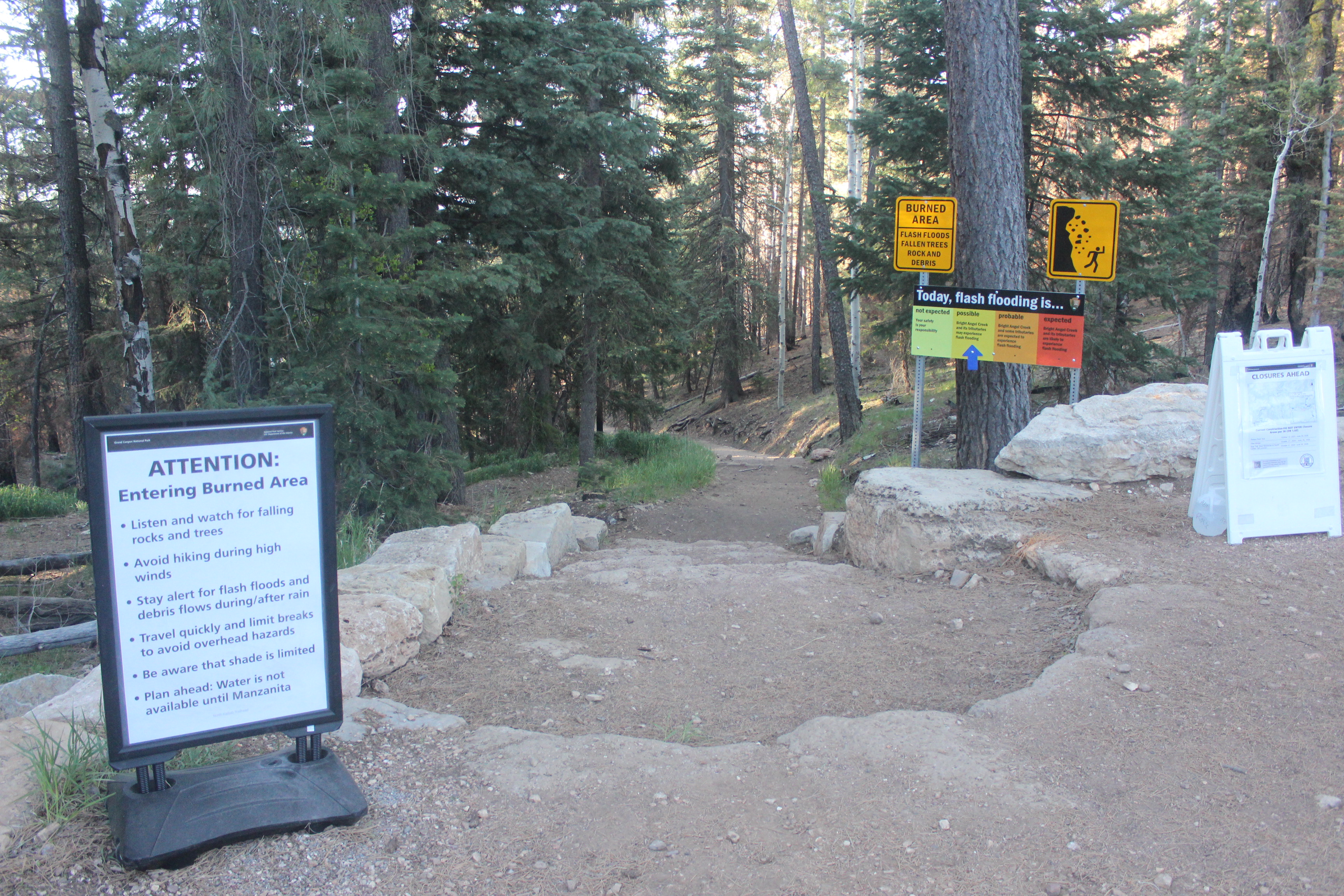 The Trailhead