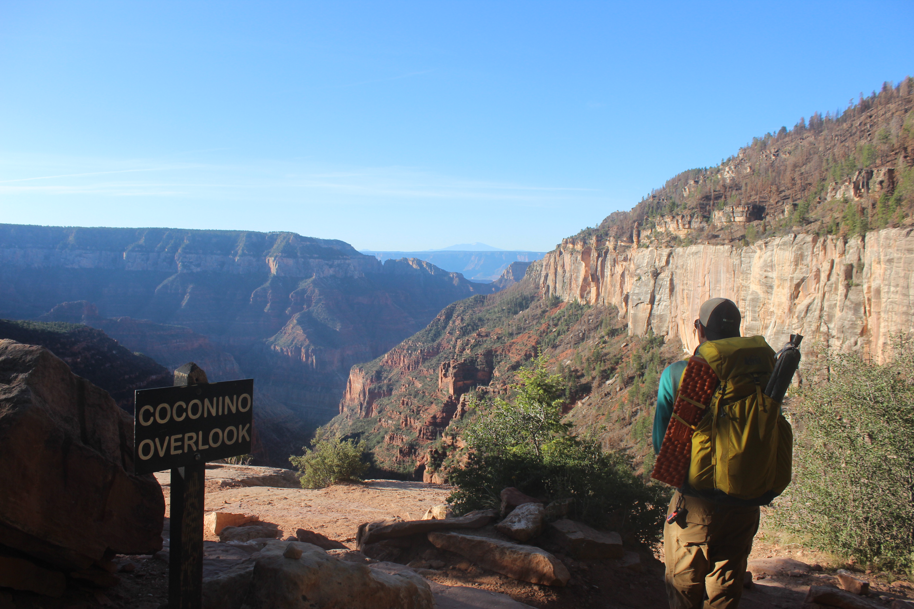 Coconino Overlook