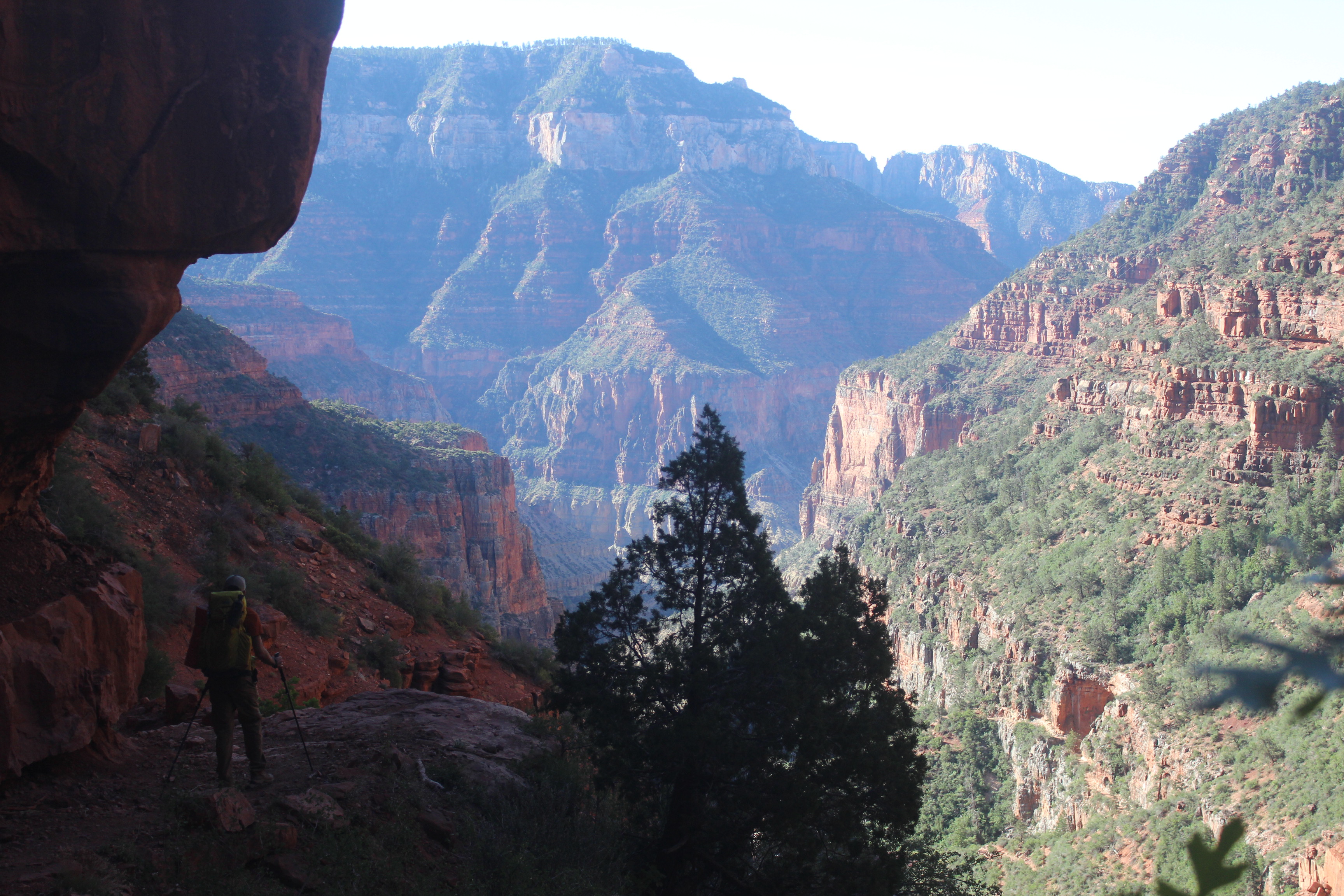 Header Image