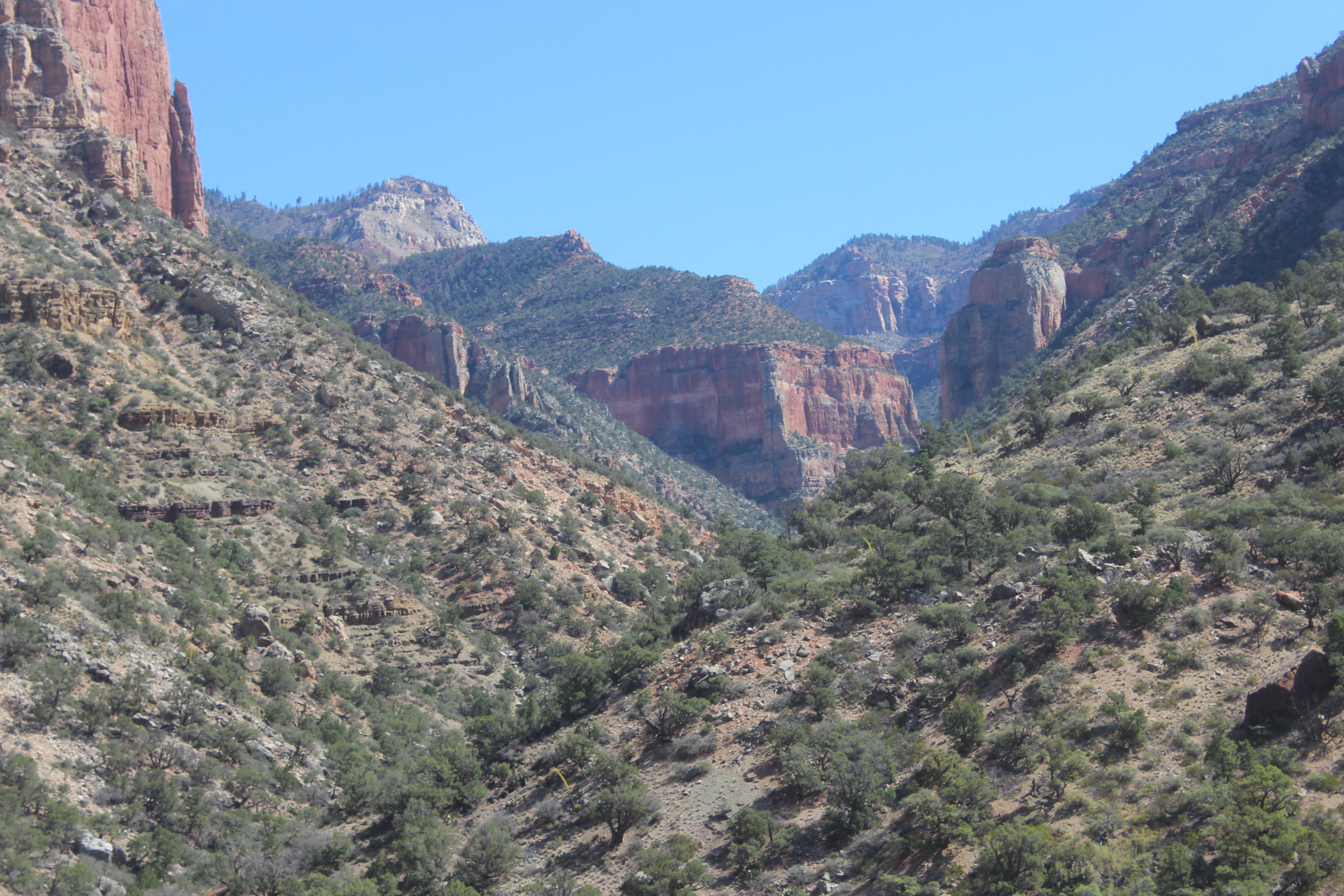 Looking back up, near where we’d started.