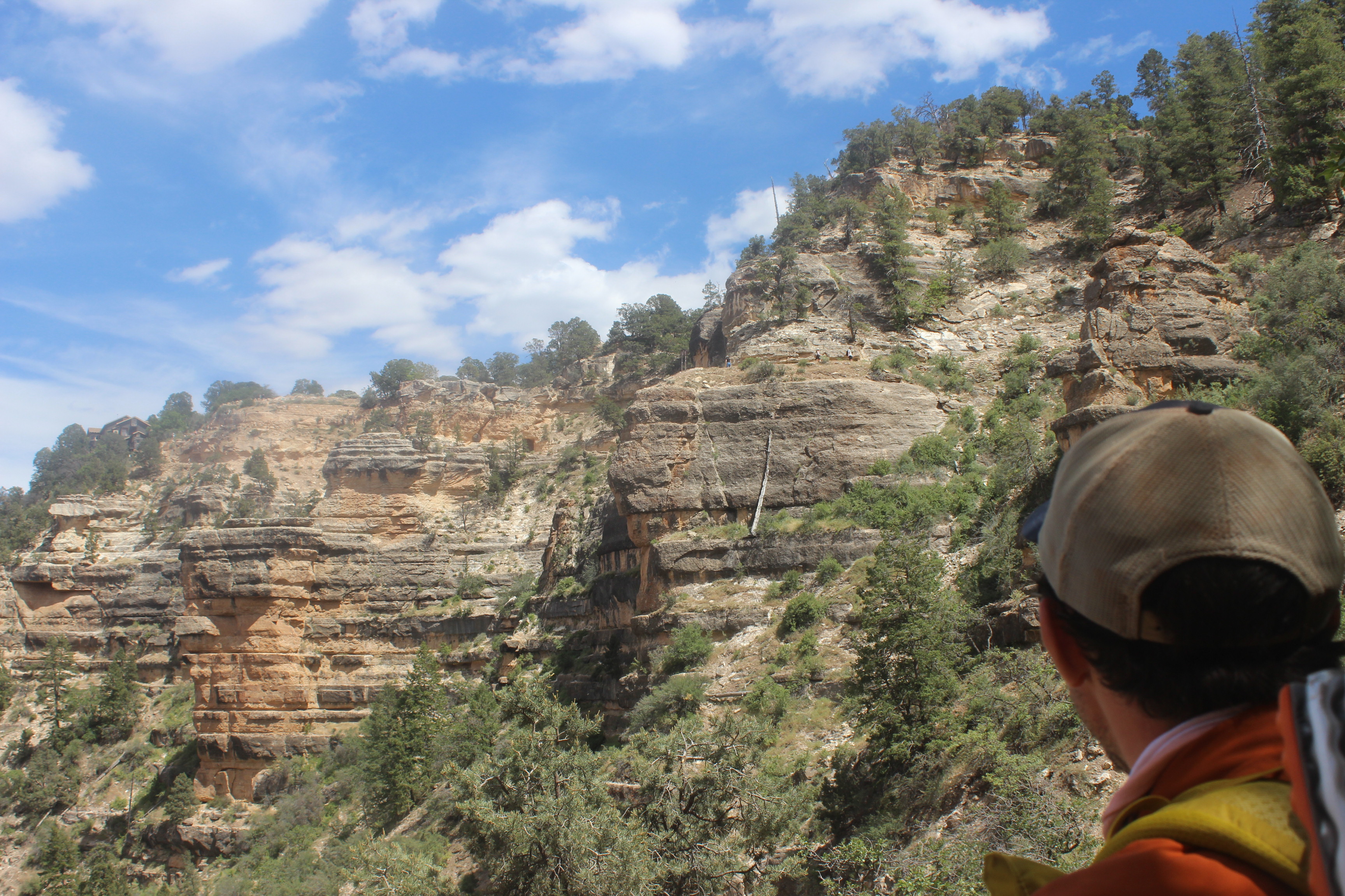 Looking towards the top.