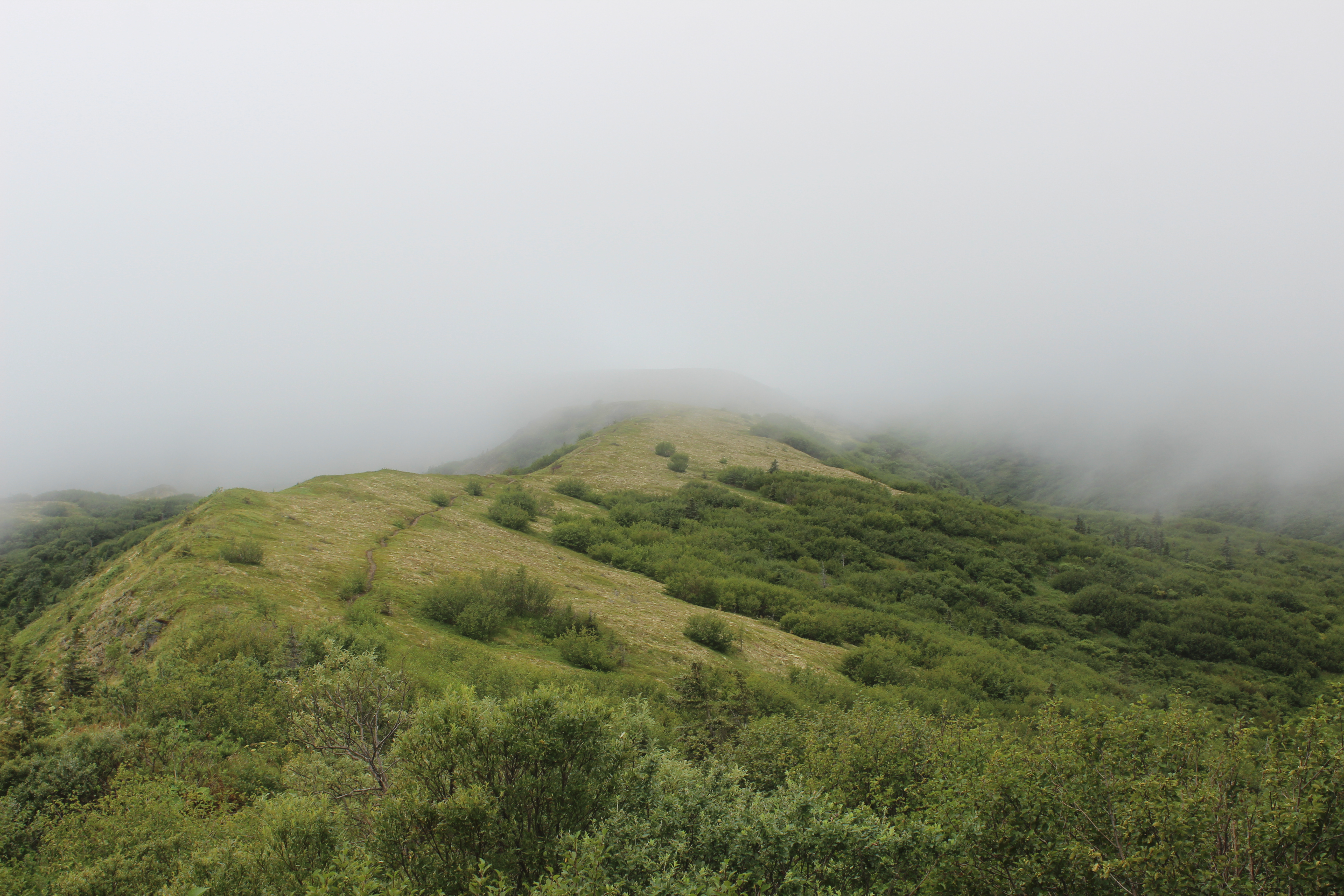 Dumpling Ridge