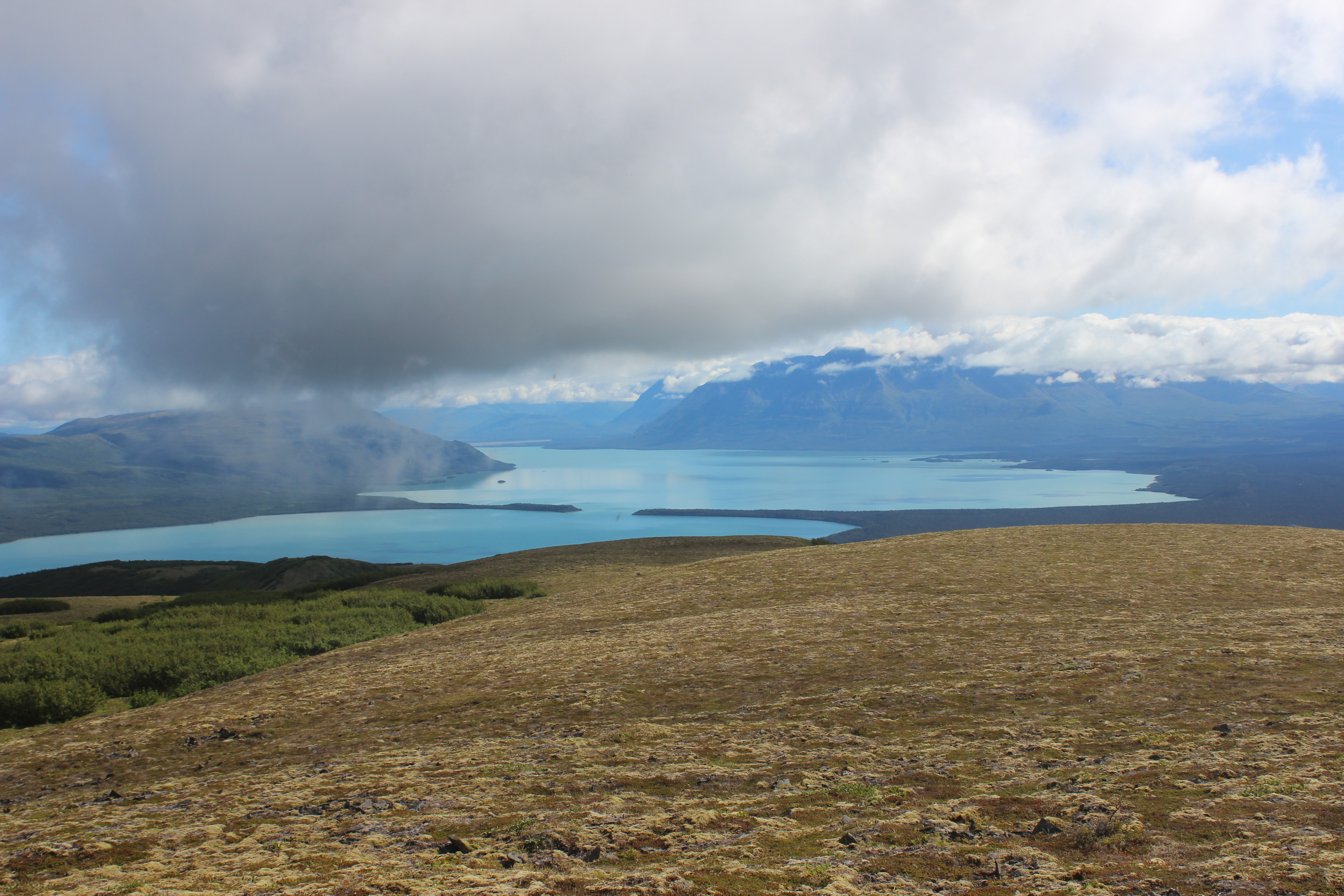 Katmai Sunlight